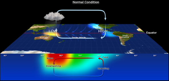 Normal Pacific circulation