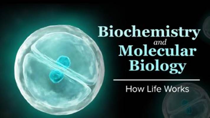 Biochemistry and Molecular Biology: How Life Works 