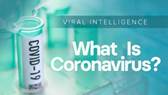 Viral Intelligence: What Is Coronavirus?