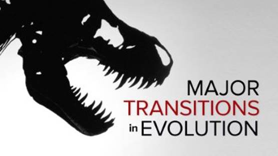 Major Transitions in Evolution