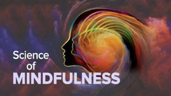 The Science of Mindfulness: A Research-Based Path to Well-Being 